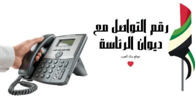 طريقة الاستفسار عن طلبات ديوان الرئاسة في الإمارات 2026: دليل المتابعة الفورية 1 استفسر عن طلبك خلال 5 دقائق ..رقم التواصل مع ديوان الرئاسة