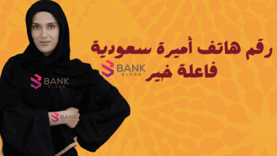 مساعدات تصل الى 50.000 ريال ..رقم هاتف أميرة سعودية فاعلة خير واتساب