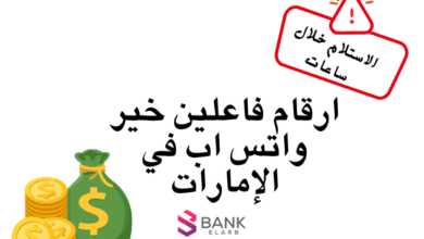 رد فوري والاستلام بعد 3 ساعات ..ارقام فاعلين خير واتس اب في الإمارات 5 رد فوري والاستلام بعد 3 ساعات ..ارقام فاعلين خير واتس اب في الإمارات