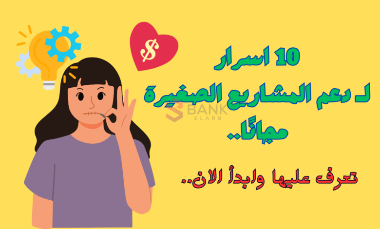 10 اسرار لــ دعم المشاريع الصغيرة مجانًا ..تعرف عليها الان