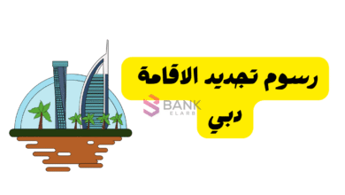 التكلفة بالتفصيل ..رسوم تجديد الإقامة دبي 2025