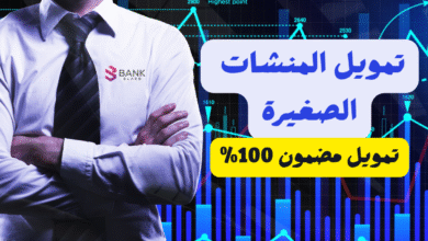 دليل تمويل المنشات الصغيرة 2026: افضل 7 جهات تمنحك تمويلًا فوريًا لمشروعك 4 تمويل المنشات الصغيرة ..تمويل سريع ومضمون 100%